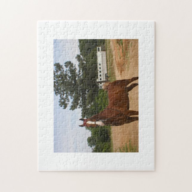 American Saddlebred Puzzle (Vertical)