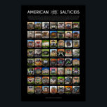 "American Salticids" Jumping Spider Faces Poster<br><div class="desc">The jumping spiders (Salticidae) represent one of the largest, most varied, and most beautiful families of spiders. With their complex courtship rituals, acute eyesight, remarkable predatory behavior, and advanced navigation skills, salticids could provide many lifetimes of study. These small spiders are often at their most striking when observed face-to-face to...</div>