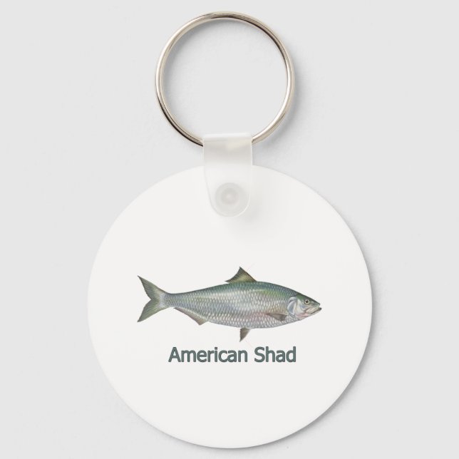 American Shad (titled) Keychain (Front)