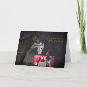 American Shetlands opening their Christmas present Holiday Card