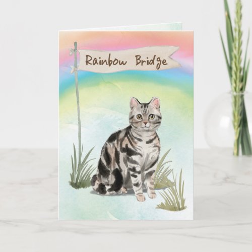 American Short Hair Cat Pet Sympathy Over Rainbow  Card