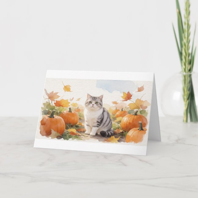 American Shorthair Autumn Pumpkin Patch Greeting C Card