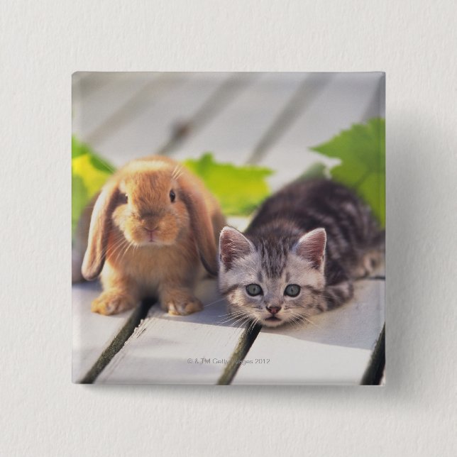 American Shorthair & Bunny Button (Front)