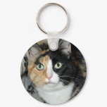 American Shorthair Calico Shelter Cat Keychain