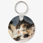 American Shorthair Calico Shelter Kitten Keychain