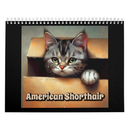 American Shorthair Cat Calendar