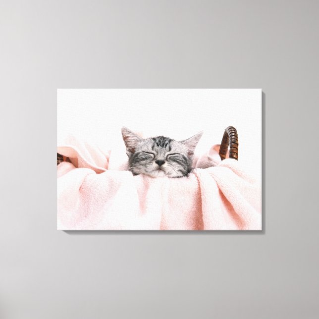 American Shorthair Cat Canvas Print (Front)