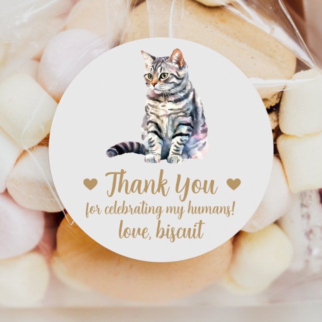 American Shorthair Cat Wedding Favor Stickers (Creator Uploaded)