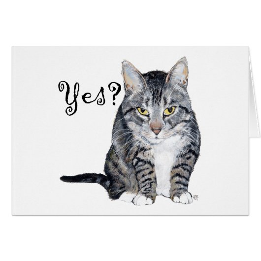 American Shorthair Cat - Yes? (Front Horizontal)