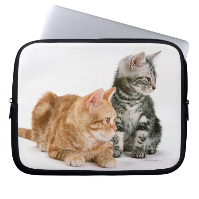 American Shorthair Laptop Sleeve (Front)