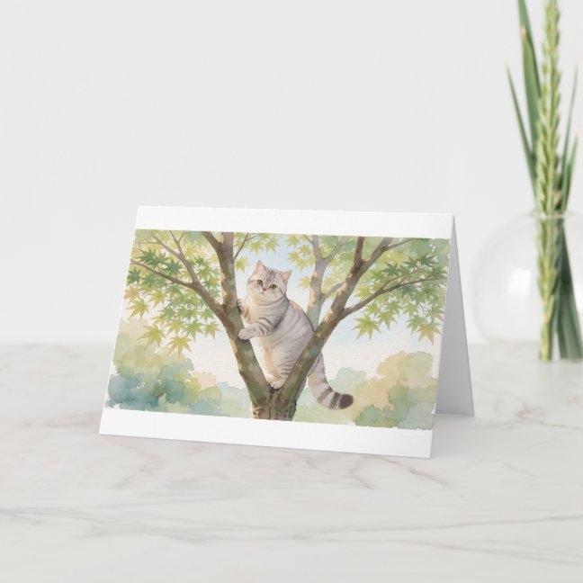 American Shorthair Maple Tree Climb Greeting Card