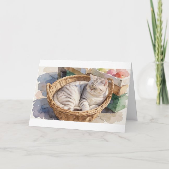 American Shorthair Market Basket Nap Greeting Card