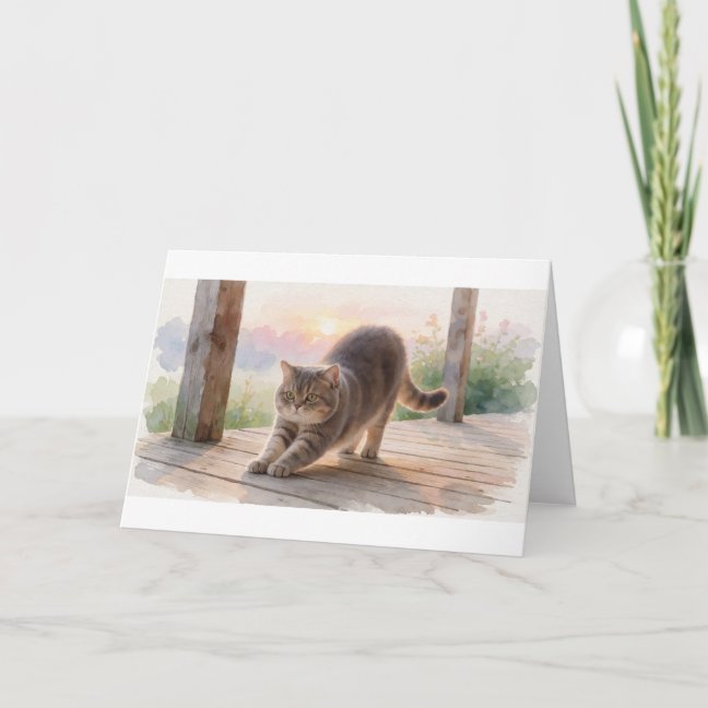 American Shorthair Porch Sunrise Stretch Greeting  Card
