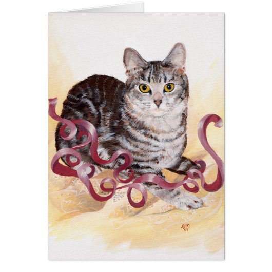 American Shorthair Tabby Cat (Front)