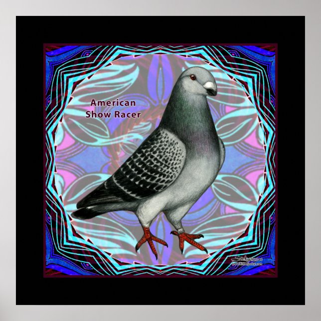 American Show Racer Poster (Front)