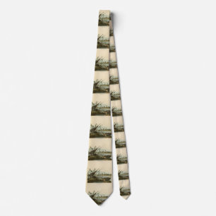 American Snipe (Wilson) Audubon's Birds of America Neck Tie