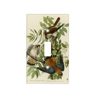 American Sparrow Hawk - Audubon's Birds of America Light Switch Cover