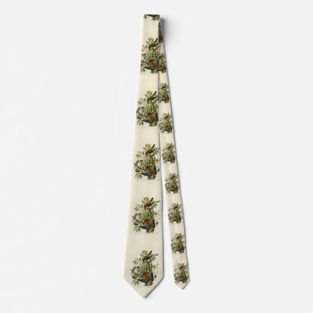 American Sparrow Hawk - Audubon's Birds of America Neck Tie (Front)