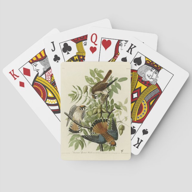 American Sparrow Hawk - Audubon's Birds of America Poker Cards (Back)
