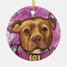 AMERICAN STAFFORDSHIRE  