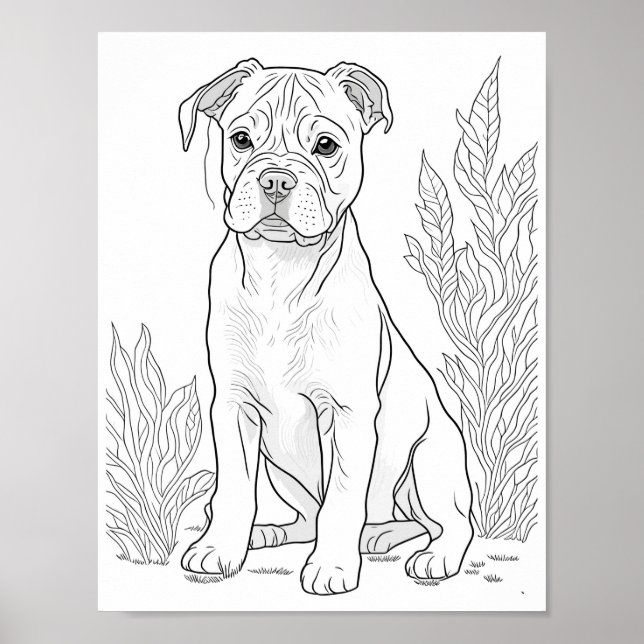 American Staffordshire Dog Adult Coloring Poster (Front)