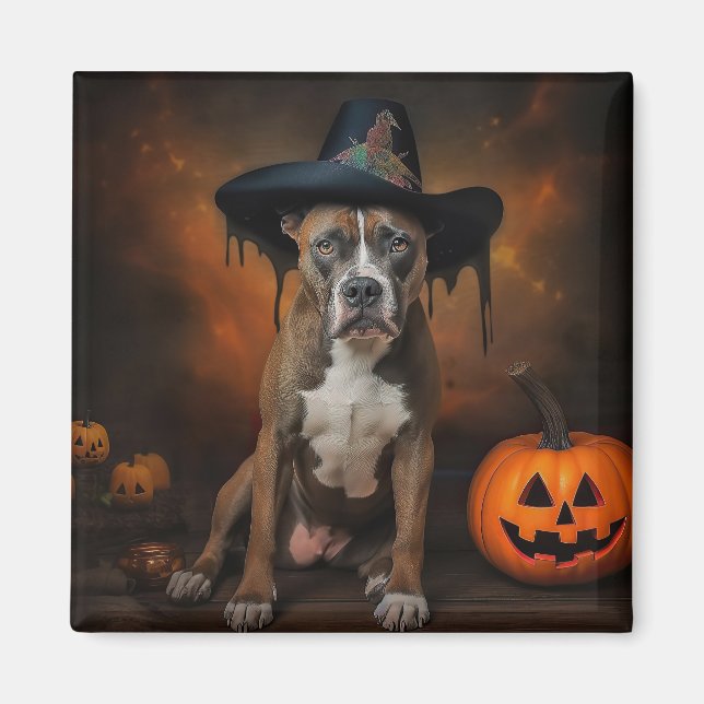 American Staffordshire Pumpkins Halloween Scary Magnet (Front)