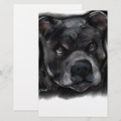 American Staffordshire Terrier (Front/Back)