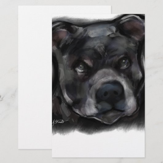 American Staffordshire Terrier (Front/Back)