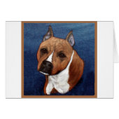 American Staffordshire Terrier (Front Horizontal)