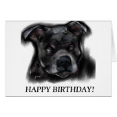 American Staffordshire Terrier (Front Horizontal)