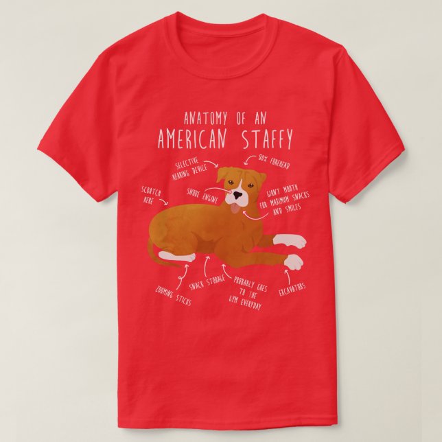 American Staffordshire Terrier Amstaff Anatomy T-Shirt (Design Front)