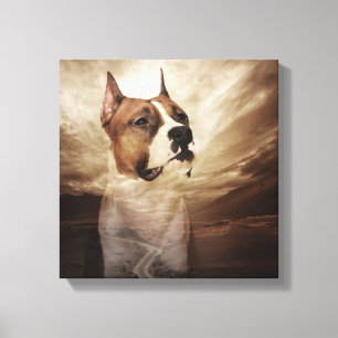 American Staffordshire Terrier - Amstaff Canvas Print