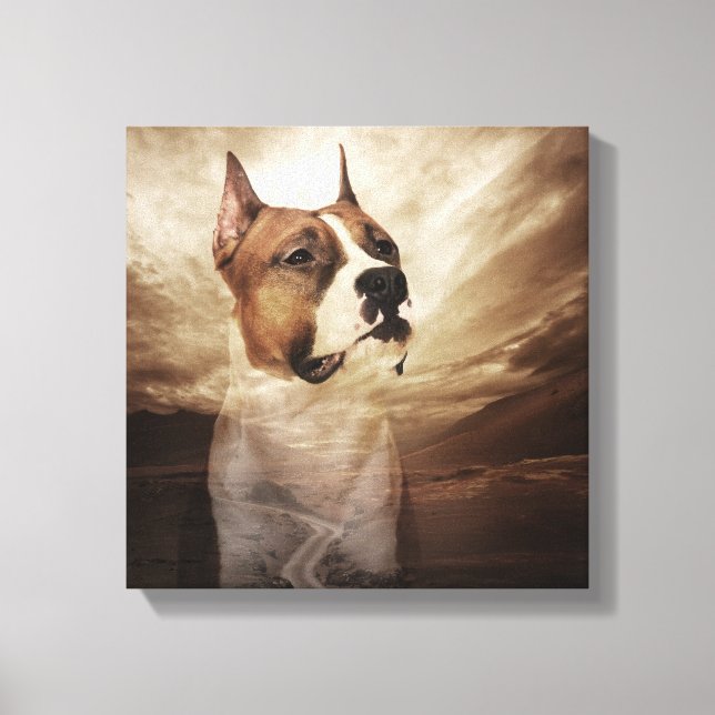 American Staffordshire Terrier - Amstaff Canvas Print (Front)
