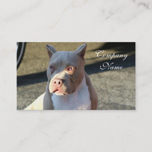Customizable American Staffordshire Terrier Business Cards