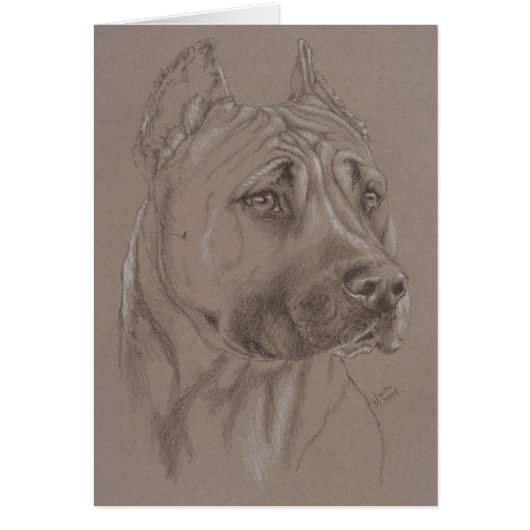 American Staffordshire Terrier Cards (Front)