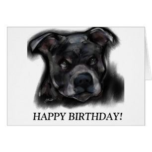American Staffordshire Terrier Cards