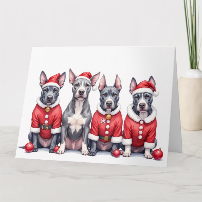 American Staffordshire Terrier Christmas Dress Card (Front)