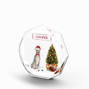 American Staffordshire Terrier Funny Christmas Dog Photo Block