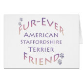 American Staffordshire Terrier Furever (Front Horizontal)
