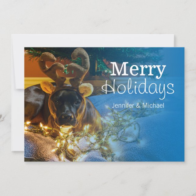 American Staffordshire Terrier Holiday Card (Front)