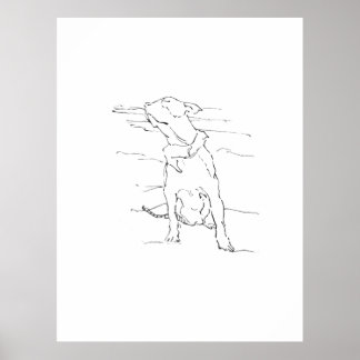 American Staffordshire Terrier Illustration Poster