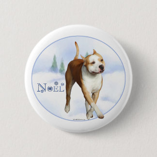 American Staffordshire Terrier Noel - Button
