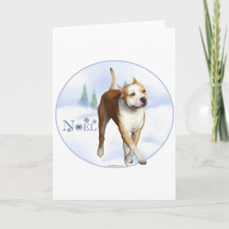 American Staffordshire Terrier Noel Holiday Card
