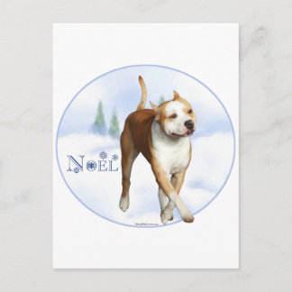 American Staffordshire Terrier Noel Holiday Postcard