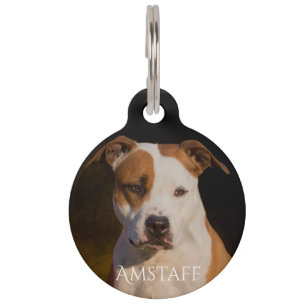 American Staffordshire Terrier Pet ID Tag