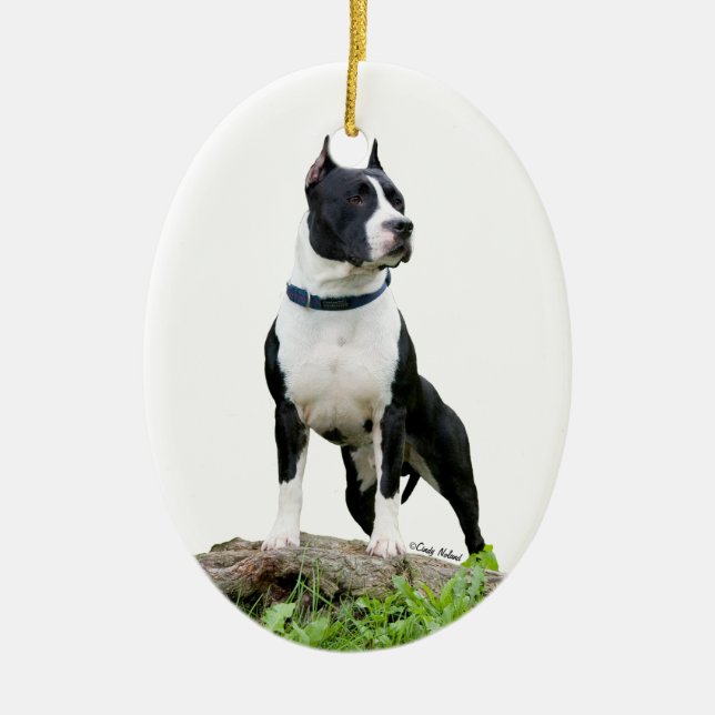 American Staffordshire Terrier (Pit Bull) Ornament (Front)