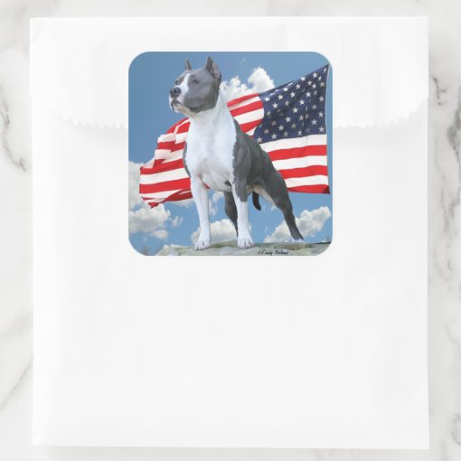American Staffordshire Terrier (Pit Bull) stickers | Zazzle