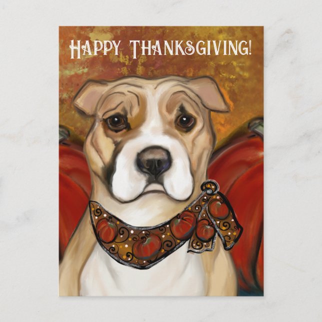 AMERICAN STAFFORDSHIRE TERRIER      POSTCARD (Front)
