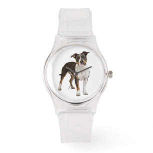 American Staffordshire Terrier Puppy Dog - Amstaff Watch