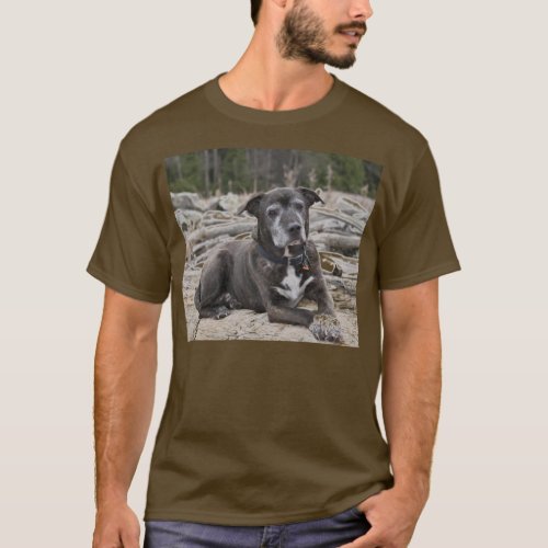 American Staffordshire Terrier _ Shirts
